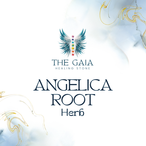 Angelica Root Loose Herb