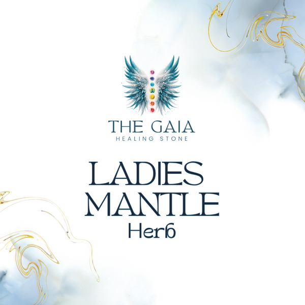 Lady's Mantle Loose Herb