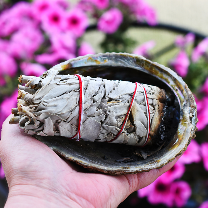 Abalone Shell-The Gaia Healing Stone