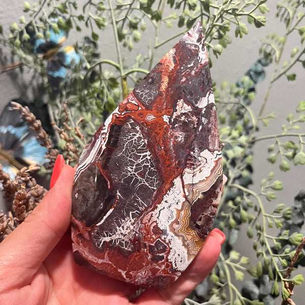 Mexican Crazy Lace Agate Free Form Shape
