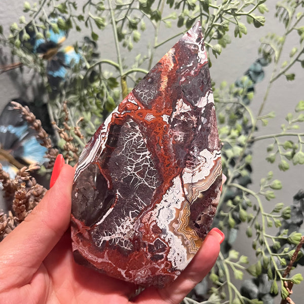 Mexican Crazy Lace Agate Free Form Shape-The Gaia Healing Stone