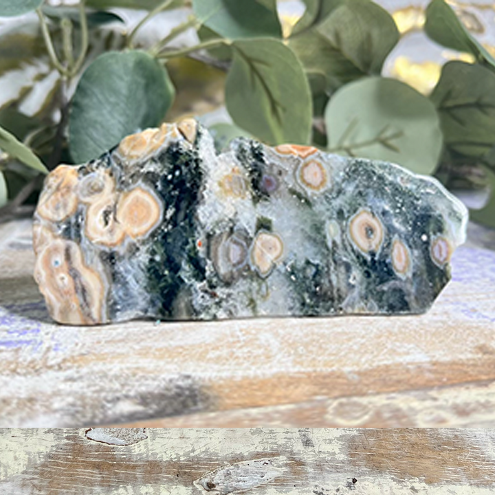 7th Vein Ocean Jasper-The Gaia Healing Stone