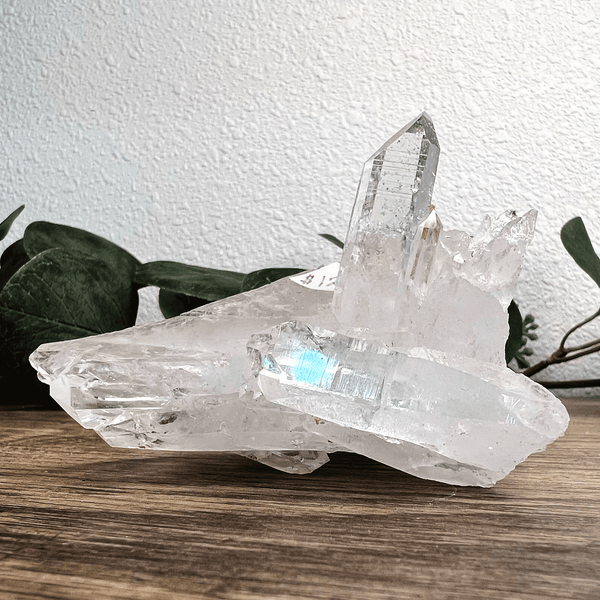 Colombian Lemurian Quartz Crystal Cluster