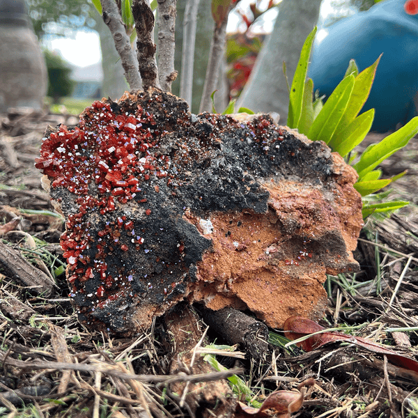 Vanadinite Rare Specimen