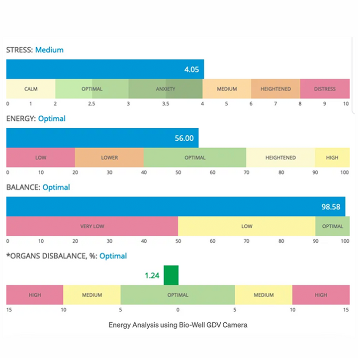 Bio-Well Biofield Scan & Consultation-The Gaia Healing Stone